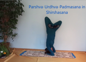 Parshva-Urdhva-Padmasana_Alina Kumaris