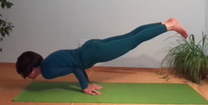 Mayurasana_Alina Kumaris